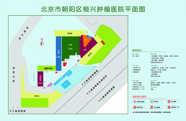 抠肥逼操肥逼北京市朝阳区桓兴肿瘤医院平面图